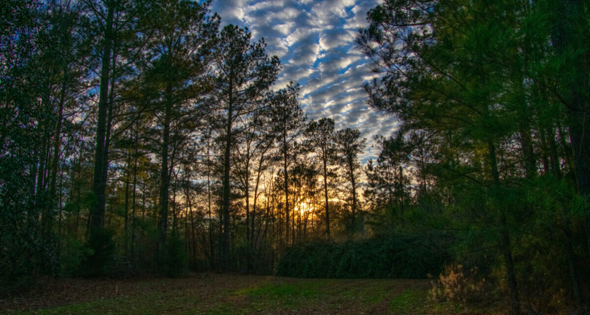 DSC_0508